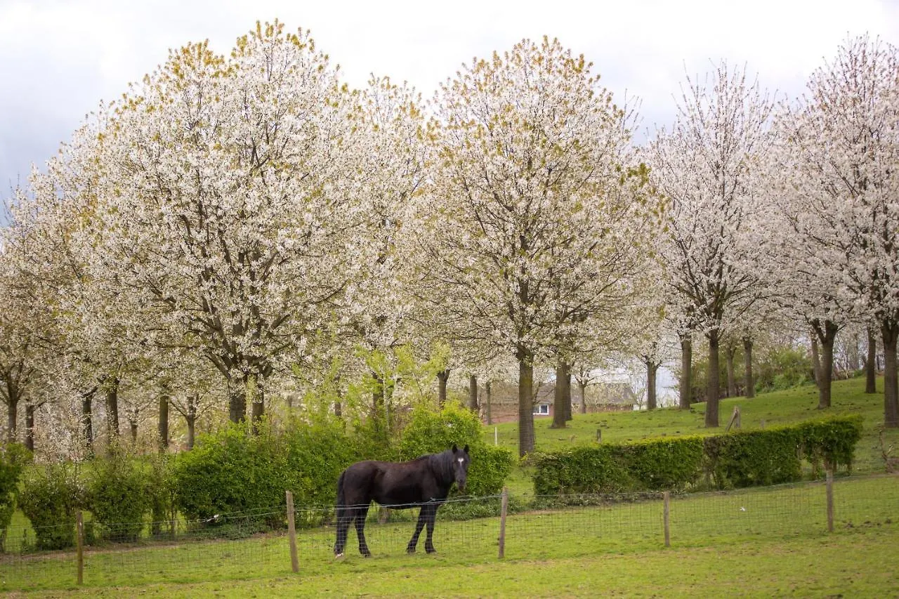 Sibbliem Luxury Homestay Valkenburg aan de Geul 0*,